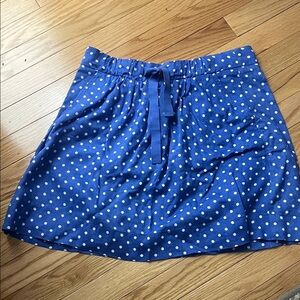 J. Crew Blue and White Polka Dot Skater Skirt